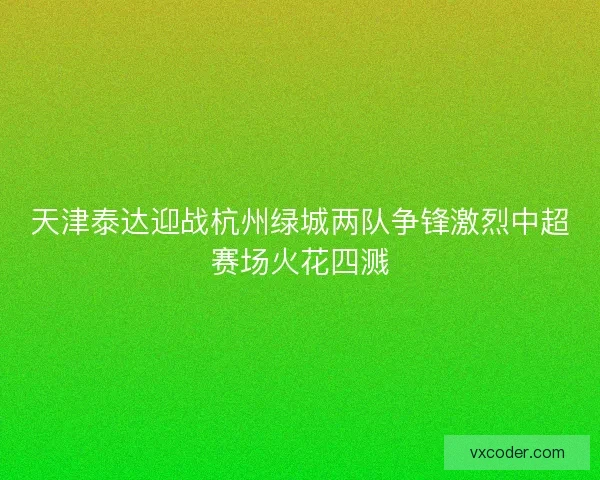 天津泰达迎战杭州绿城两队争锋激烈中超赛场火花四溅